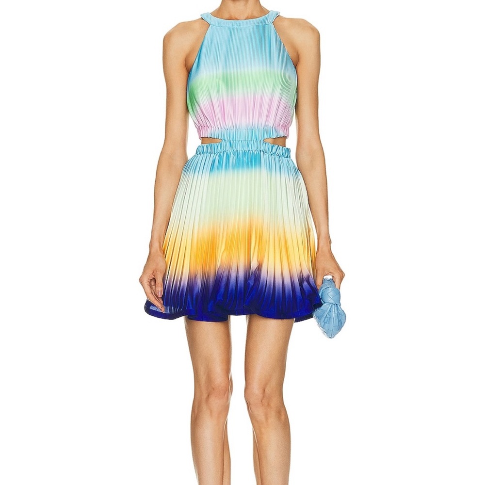 Braelynn pleated cut out dress from Simkhai.